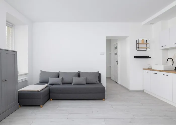 Bright For 4 Guests 1,6km Silesian Stadium By Renters *